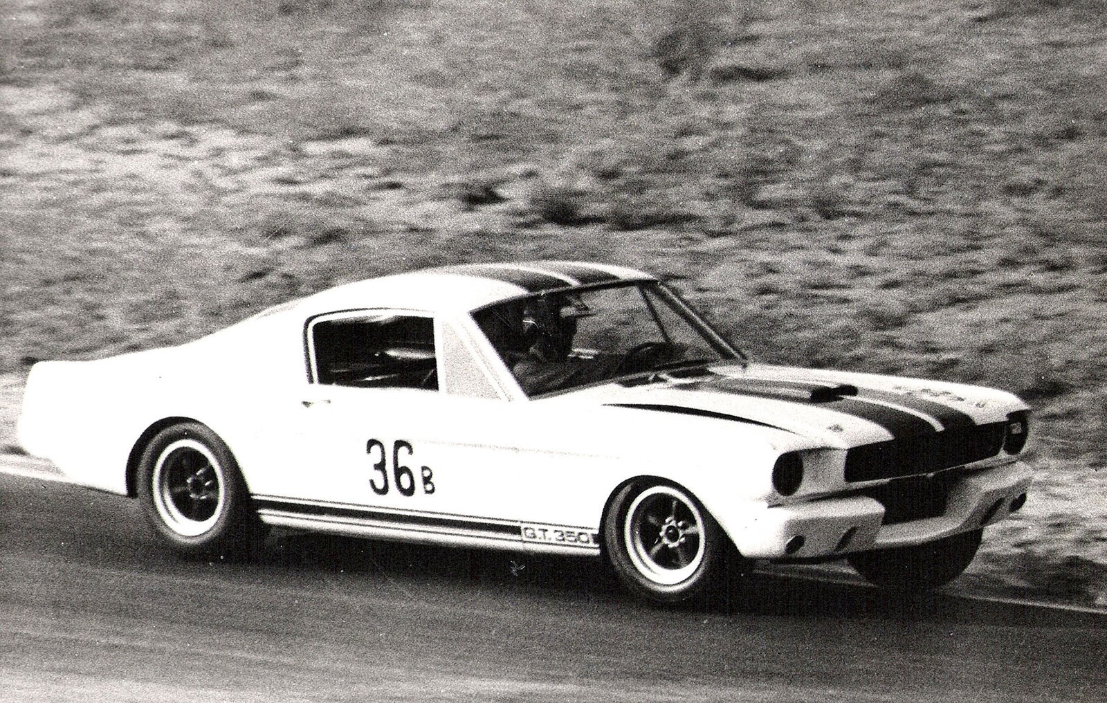 Mustang Shelby