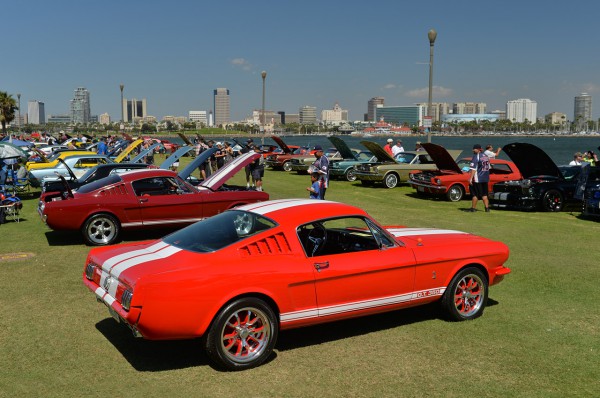 Mustangs Queen Mary Show