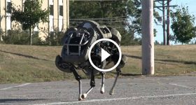 WildCatRobot