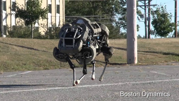 WildCatRobot
