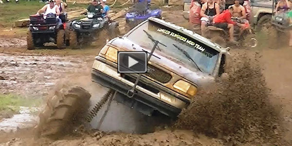 Rolling In the Mud Like a Pig