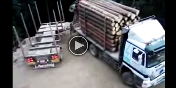 WORLD CLASS TRUCK Driver