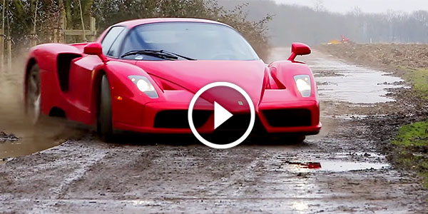 Ferrari Enzo WRC