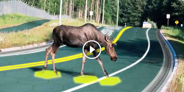 Solar FREAKIN' Roadways