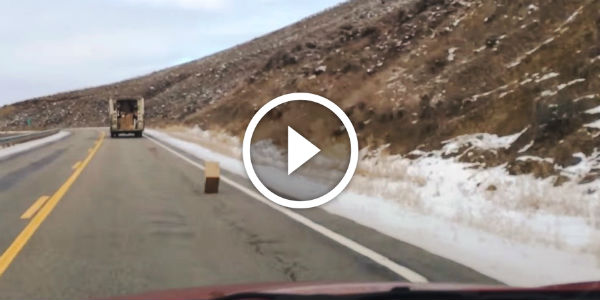 Chasing a FedEx truck down that was losing Christmas Packages out back door