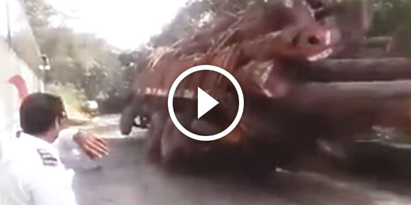 Live Truck falls off cliff due to overload