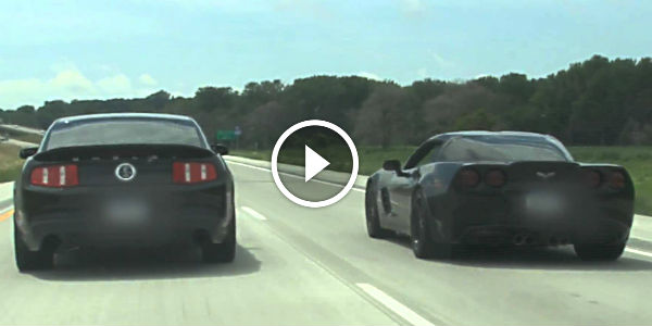 Cobra vs Cobra vs Cobra vs GT500 vs Z06 STREET RACING