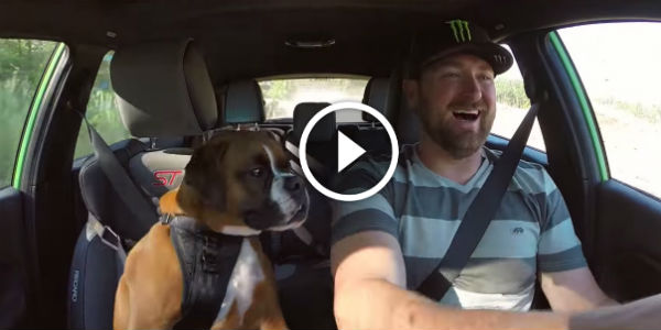Man's Best Friend Vaughn Gittin Jr and his dog Brody rally in the Ford Fiesta ST