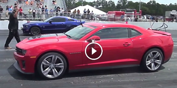 Hypnotic Muscle Battle 2013 Camaro Zl1 Vs 2014 Shelby