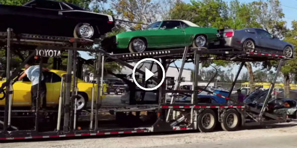 DEA and Police seizing exotic cars worth millions