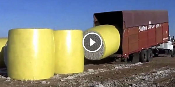 The Best intelligent truck driver Ever!!