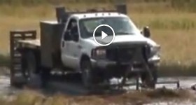 swamp traxx