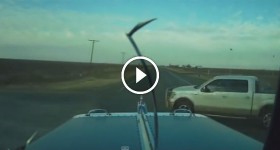 Cattle Truck Smashes Into Pick-Up