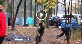 Axe cut tree falls on car camper Lumberjack Darwin Award Original