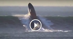 [HD] Go-Fast boat takes a wave of 9 meter