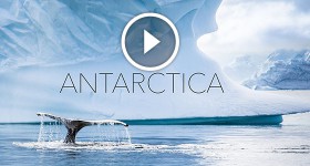 Cruise to Antarctica