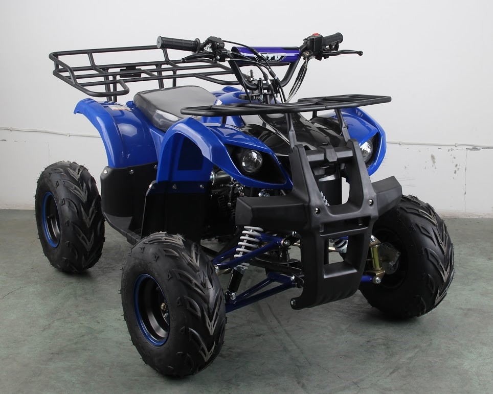 Buyers Guide to New and Used Quads for Kids on the Farm LaptrinhX / News