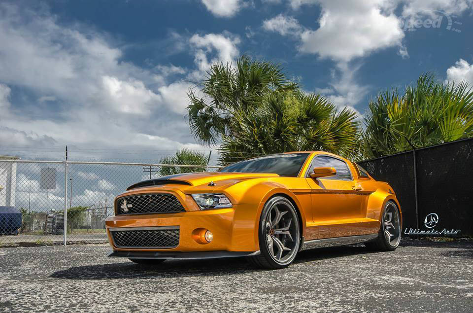 2013 Shelby Snake