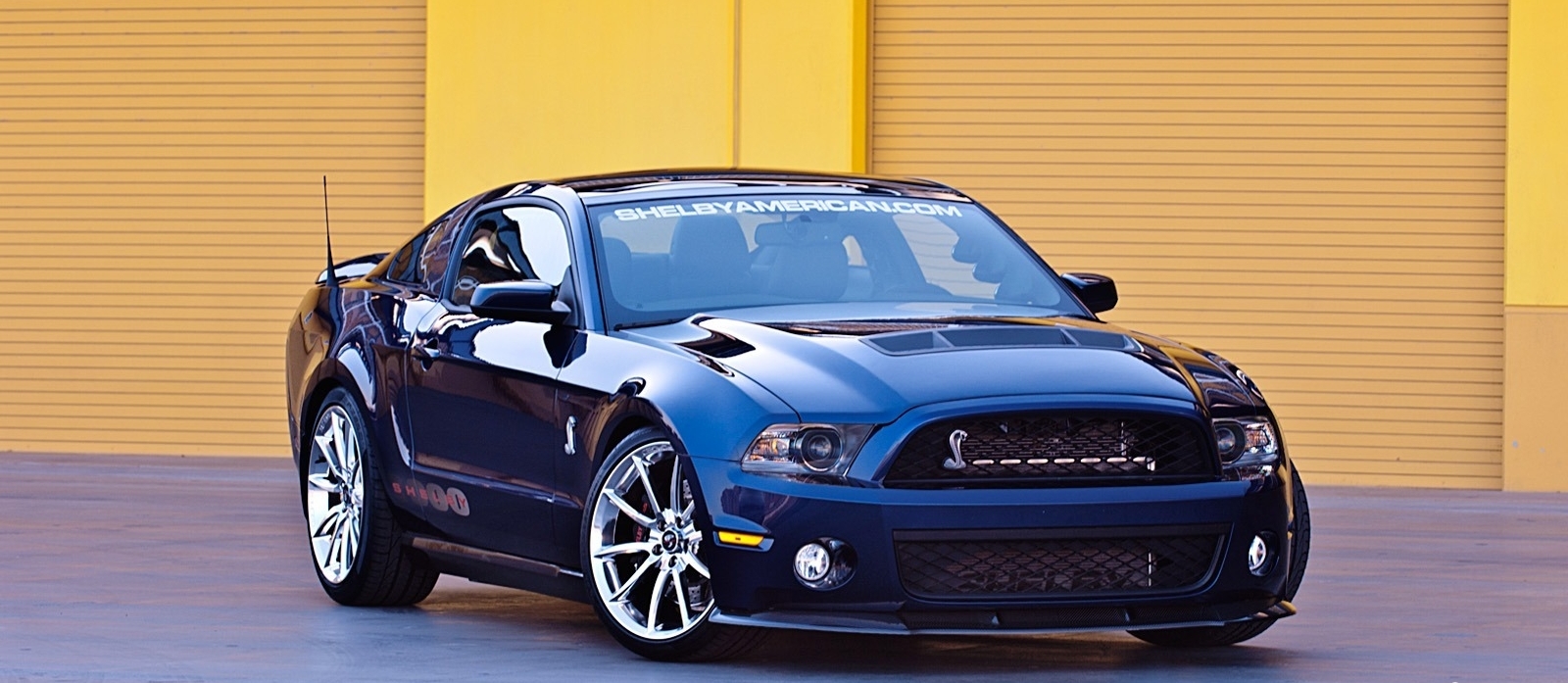 Shelby 1000
