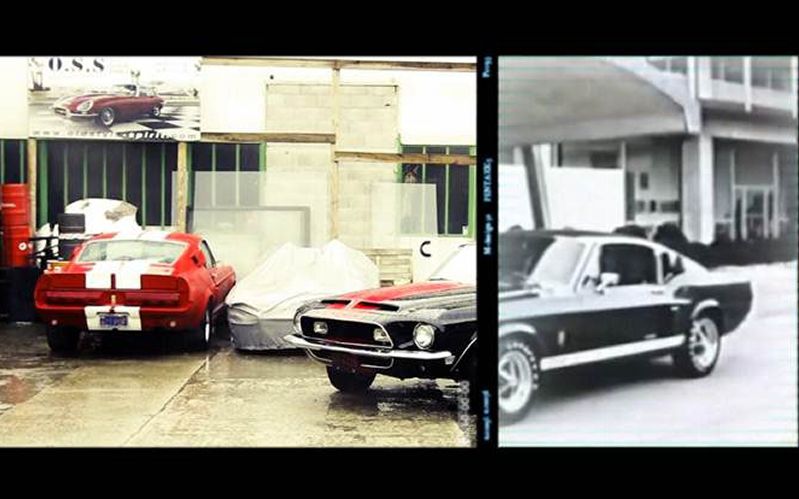 1310-classic-ford-mustangs