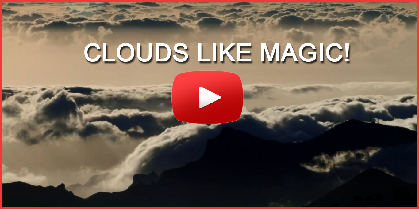 SUNSET ABOVE THE CLOUDS - Seems Like THOUSANDS OF WHALES SWIMMING TOGETHER IN CELESTIAL DANCE