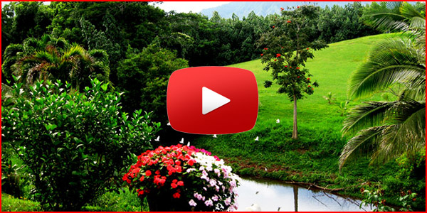 THE SECRET OF LIFE ON OUR PLANET - IT ALL STARTED WITH THEM - 1080p HD