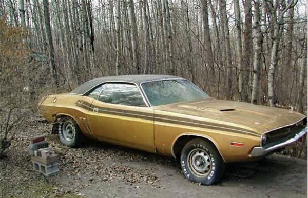 Dale Cole's Challenger 4