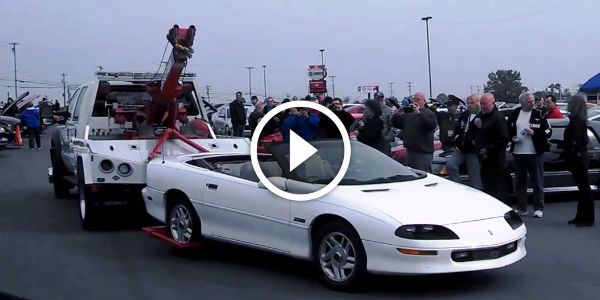 Mustang 50th birthday punked by camaro luvr