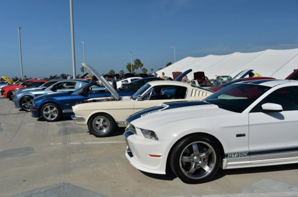 Mustang anniversary 4