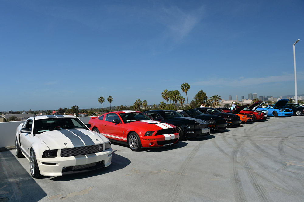 Mustang anniversary 5