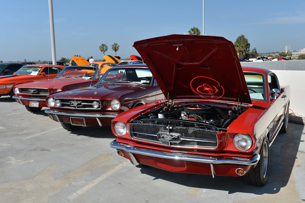 Mustang anniversary 6