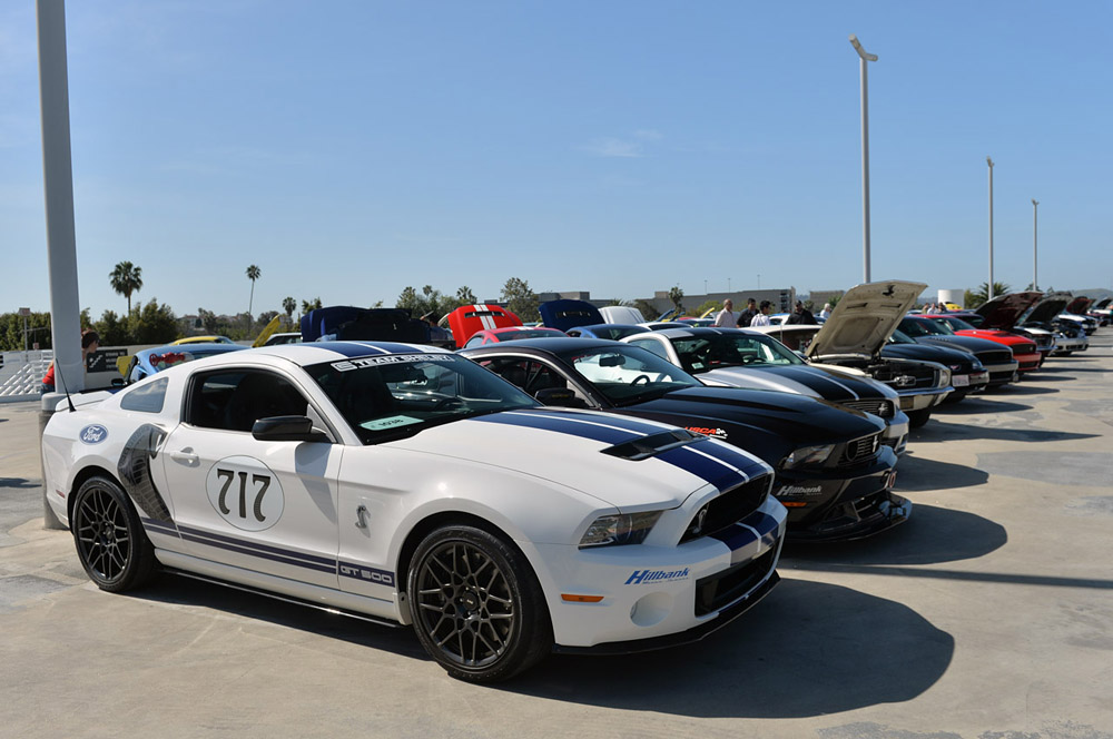 Mustang anniversary 7