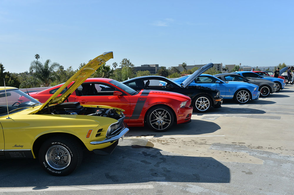 Mustang anniversary 8