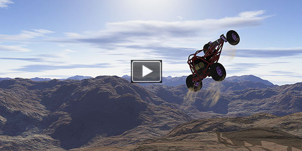 JUMPS with HAND-MADE BUGGY