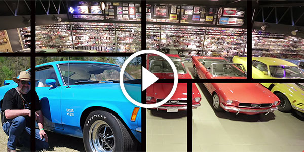 man with 5500 mustangs