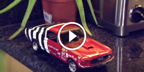 While You Are Away Your Mustang is at Play