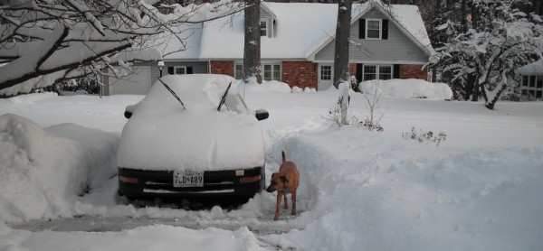 parked car with lifted windshield wipers