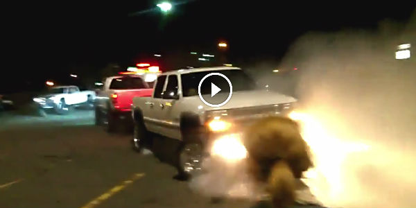 Dodge vs. Chevy Truck Tug o' War Humiliation