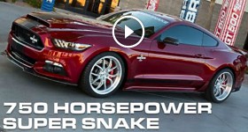 2015 Super Snake Walk Around