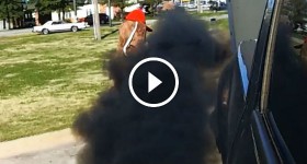 Black smoking some poor guy in a dog costume!!! LMAO