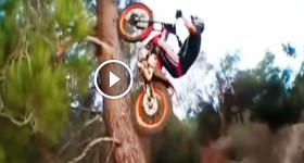 Toni Bou vs albero