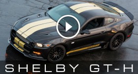 2016 Shelby GT-H Rent-A-Racer