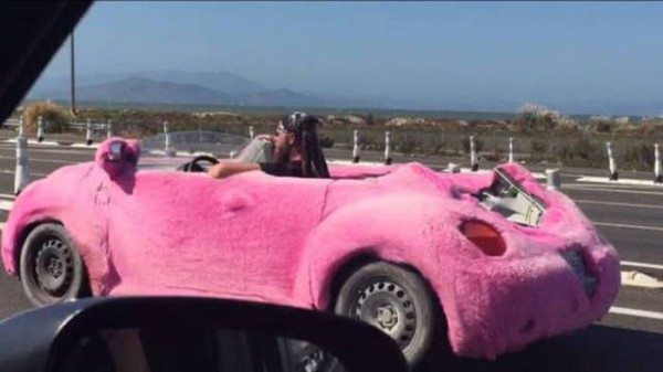 Custom made pink plush car